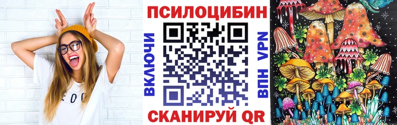 Псилоцибиновые грибы Psilocybe  Уржум 