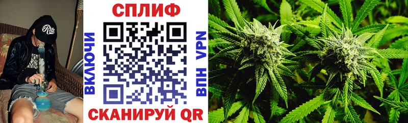 Бошки Шишки AK-47 наркотики Уржум